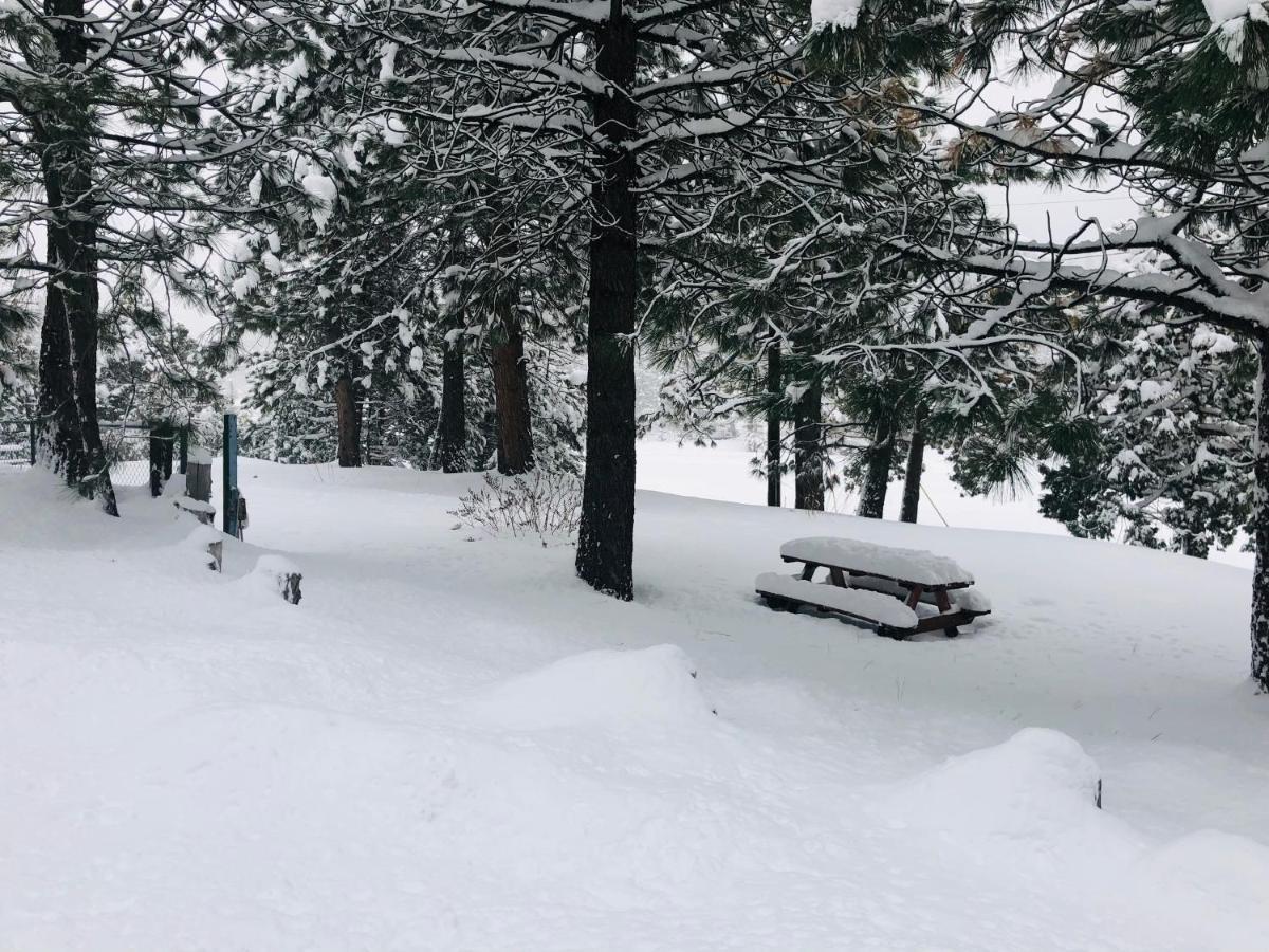 Mountain View Cabins Wrightwood Exteriér fotografie